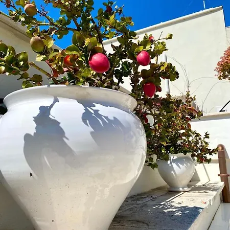 Dimore Le Murattiane - Puglia Mia Apartments Monopoli Exterior photo